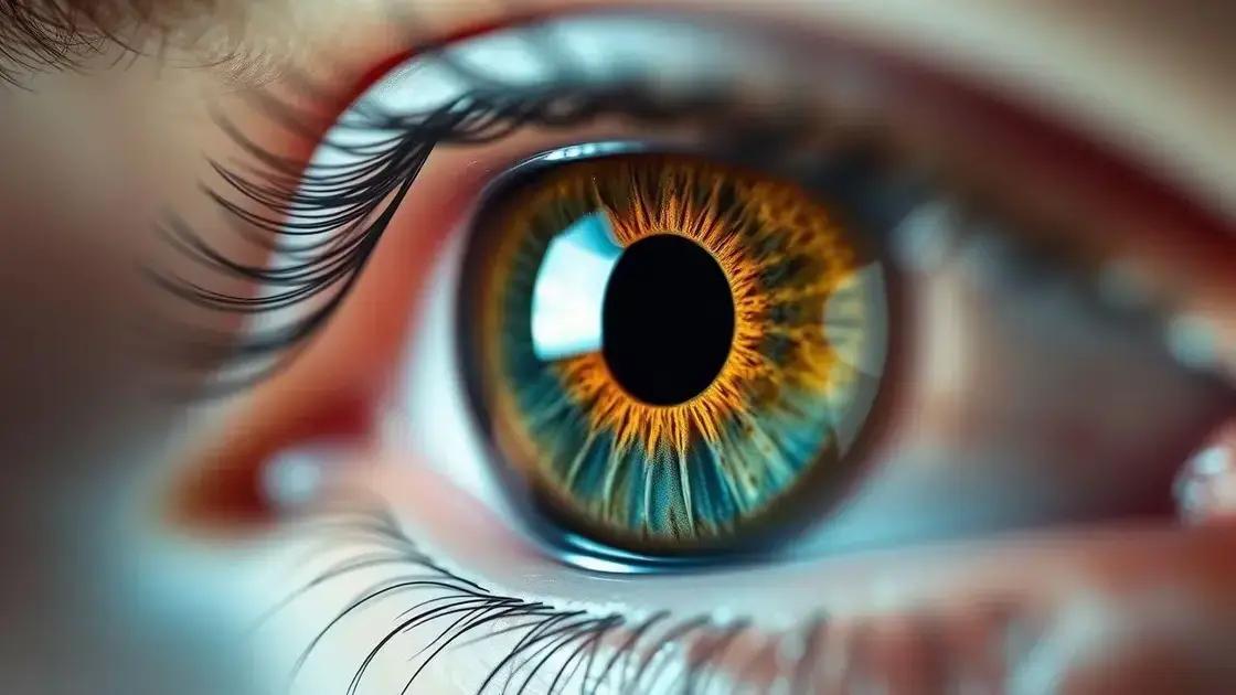 O que é glaucoma e como afeta a visão